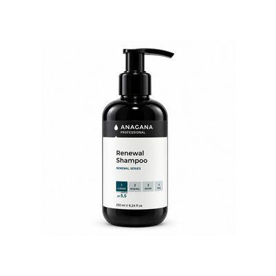 Шампунь "Восстановление" / RENEWAL SHAMPOO АШВ-250 фото